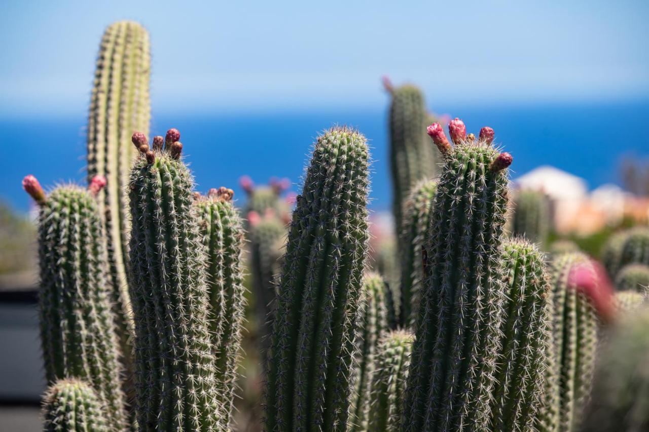5 Suites Lanzarote Mácher Esterno foto